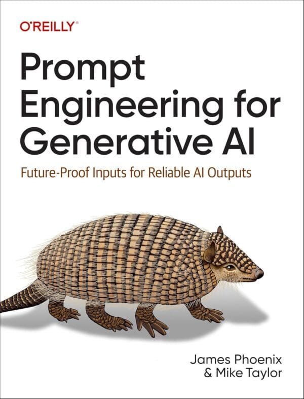 Prompt Engineering For Generative AI - Buy In Morocco