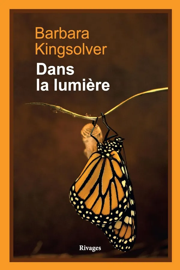 Dans La Lumière Maroc