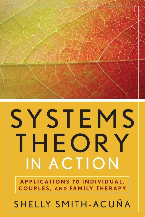 Systems Theory In Action Morocco