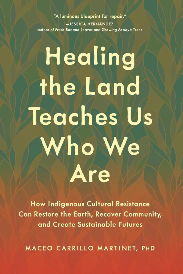 Healing The Land Teaches Us Who We Are Morocco