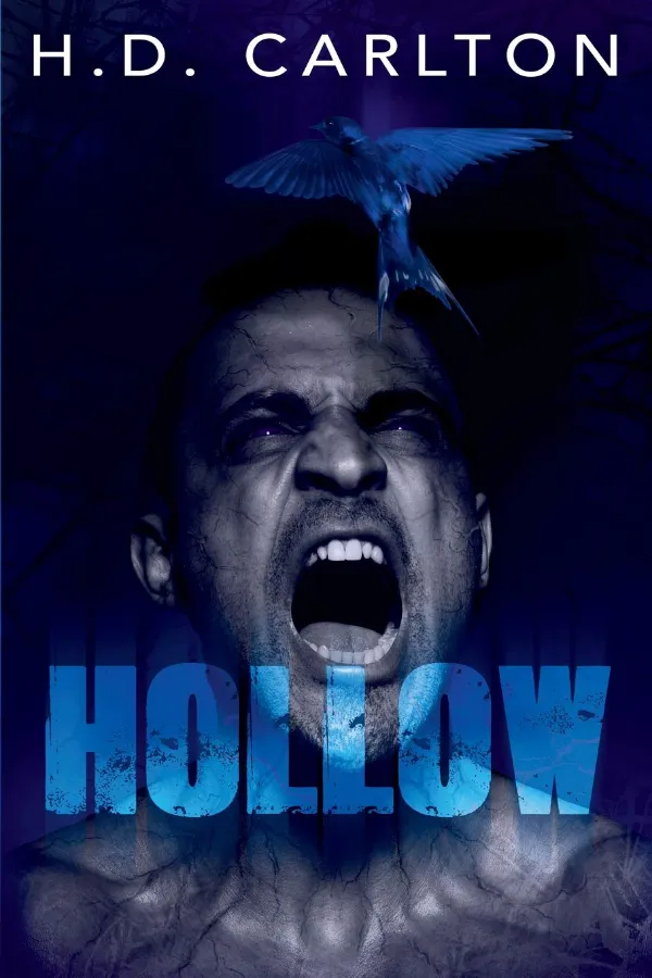 Hollow Morocco