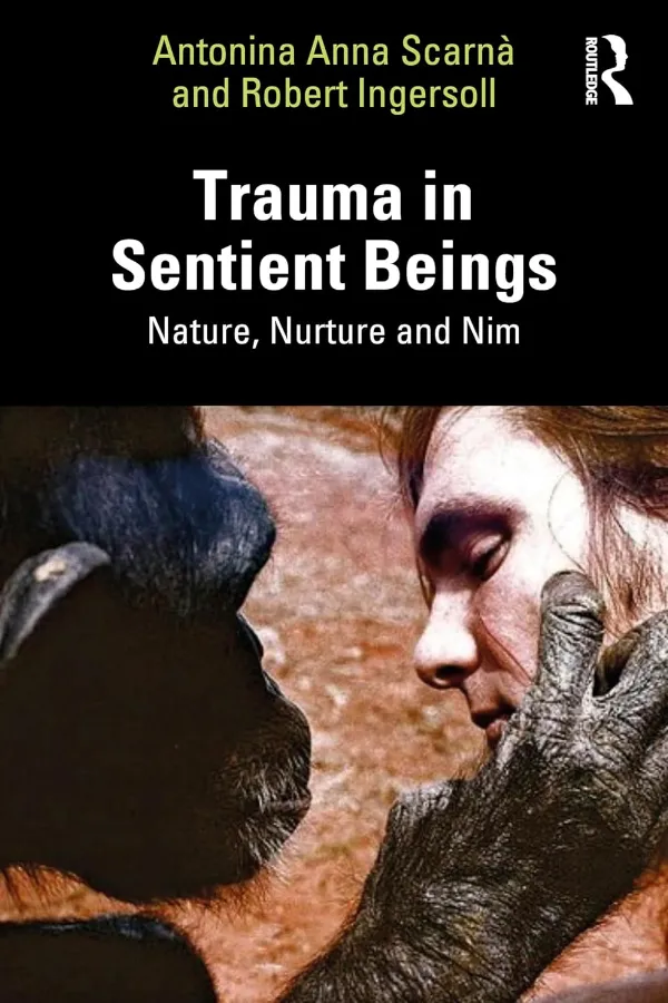 Trauma In Sentient Beings Morocco
