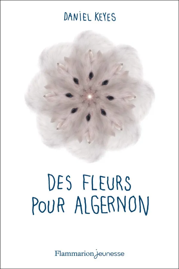 Des Fleurs Pour Algernon Maroc