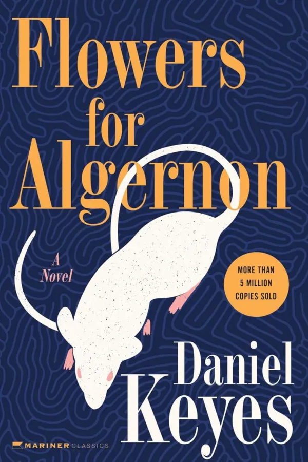 Flowers for Algernon Morocco