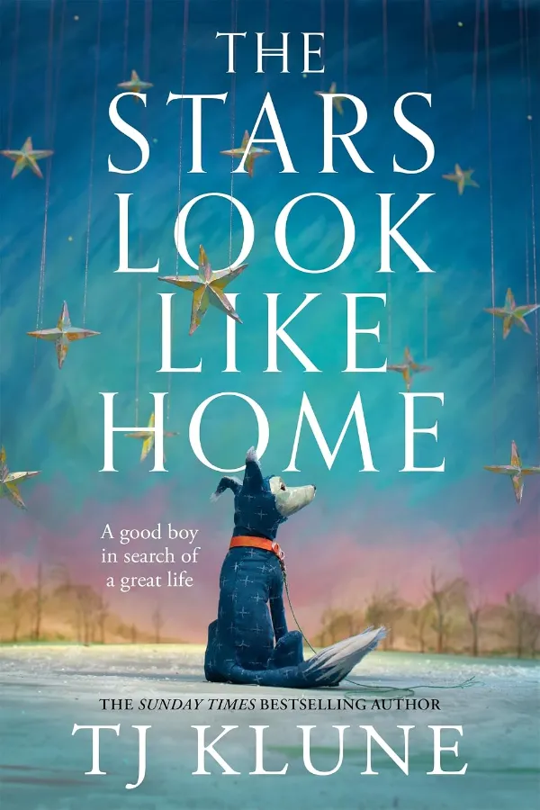 The Stars Look Like Home Morocco