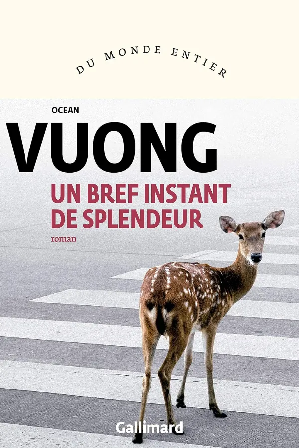 Un Bref Instant De Splendeur Maroc