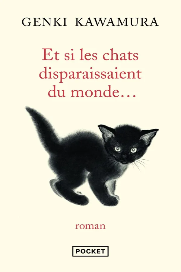 Et Si Les Chats Disparaissaient Du Monde Maroc
