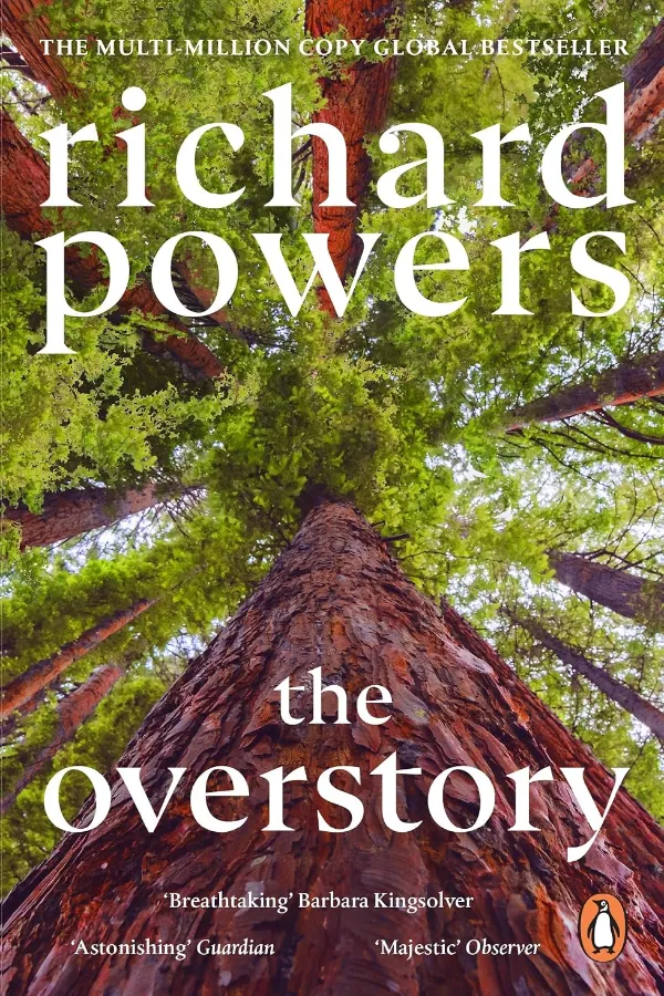 The Overstory Morocco